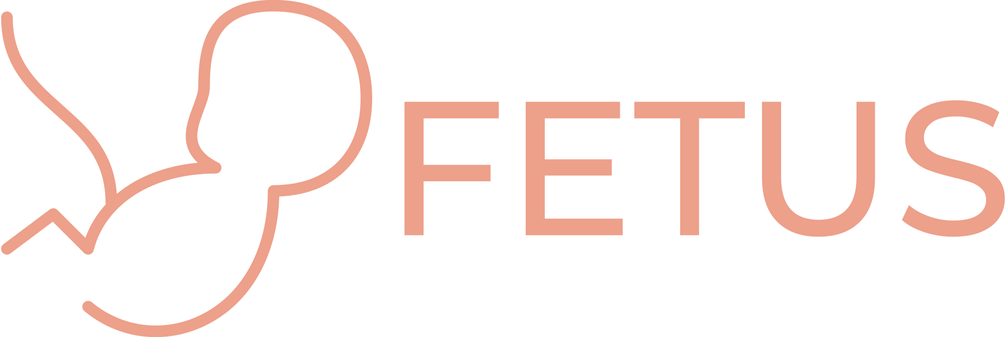 FETUS Logo